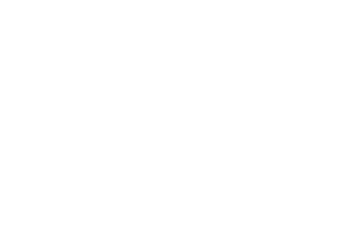 Official Selection, Animac 2026